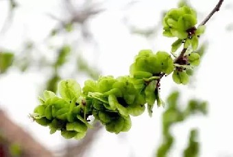 第章大企业小企业和成长中的企业世外桃源般......《管理的实践》摘录